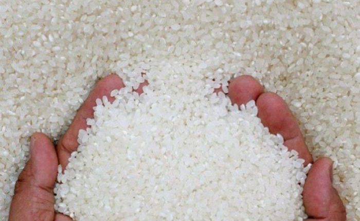 هيئة السلع التموينية تشتري 47.5 طن أرز مستورد