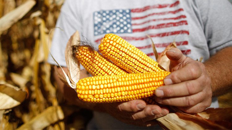 الولايات المتحدة تسعى لفتح الأسواق الأوروبية أمام منتجاتها الزراعية