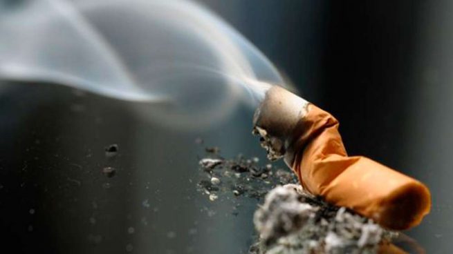 رويترز: مصر تستهدف زيادة الإيرادات من ضريبة السجائر والدخان نحو 15% في 2019-2020
