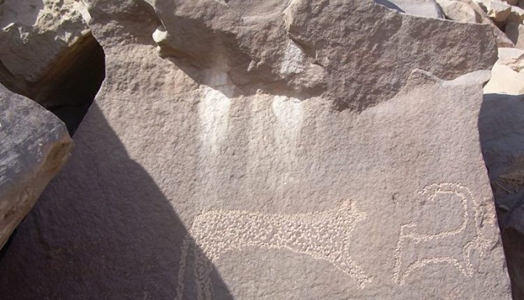 الآثار : العثور على أوائل النقوش الملكية شمال شرق أسوان