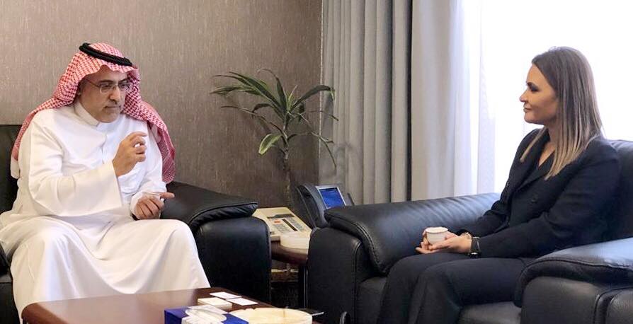 وزيرة الاستثمار تبحث مع الصندوق السعودي للتنمية دعم المرحلة الثانية من برنامج تنمية سيناء