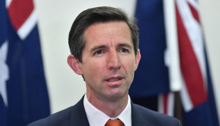 وزير التجارة الأسترالي: اتفاقية الشراكة الاقتصادية الإقليمية الشاملة مهمة للغاية