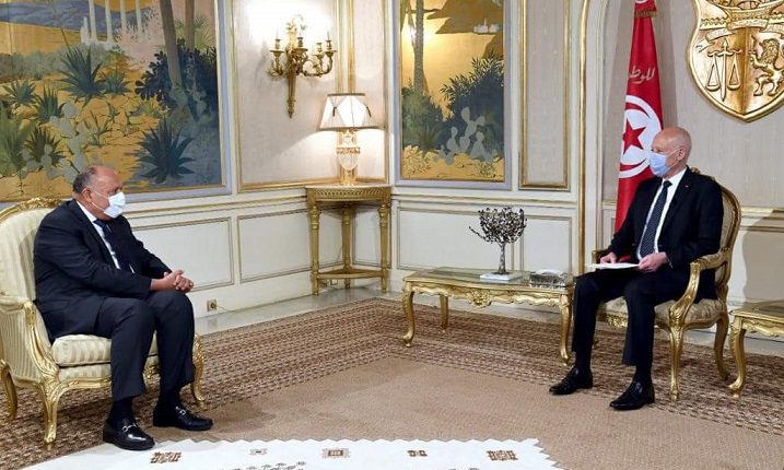 وزير الخارجية يلتقي رئيس تونس