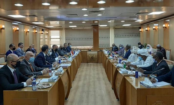 اجتماع وزراء الخارجية والري في مصر والسودان