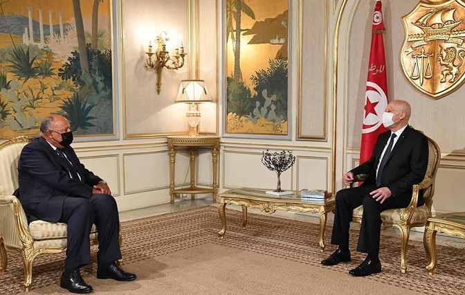 الرئيس التونسي يستقبل وزير الخارجية سامح شكري