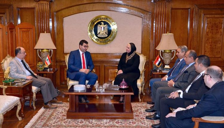 وزيرة التجارة والصناعة تبحث سبل تيسير حركة التبادل التجاري بين مصر ولبنان