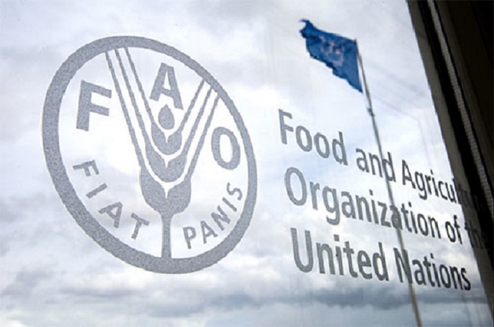 شعار منظمة الأغذية والزراعة التابعة للأمم المتحدة "فاو"