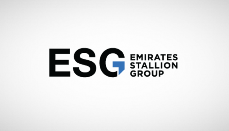 مجموعة إیه إس جي ستالیونز الإماراتية تعتزم دخول مجال التصميم الداخلي وتصنيع المنتجات