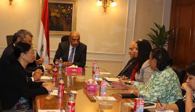 وزير قطاع الأعمال يبحث مع هاندا الصينية زيادة استثماراتها في مصر
