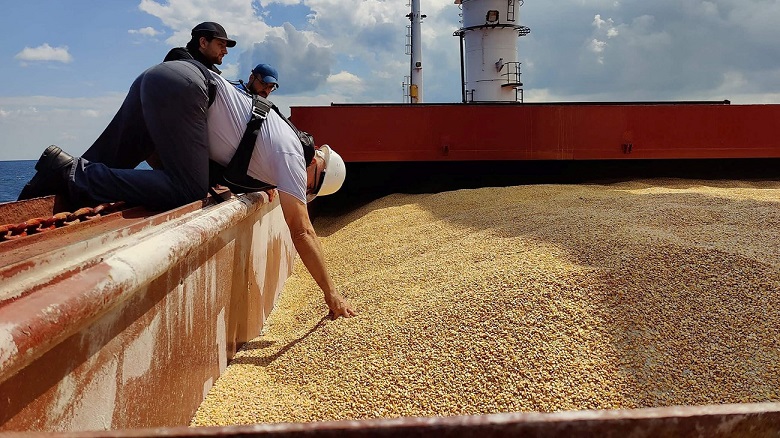 روسيا تكمل مبادرتها بإرسال الحبوب مجانا إلى 6 دول إفريقية
