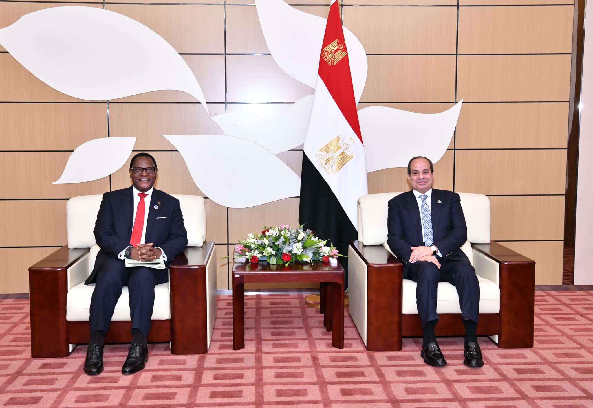 الرئيس السيسي يؤكد حرص مصر على تعزيز التعاون مع مالاوي في مختلف المجالات