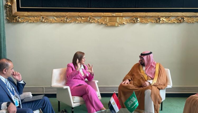 وزيرة التخطيط تبحث مع نظيرها السعودي آليات تعزيز سبل التعاون