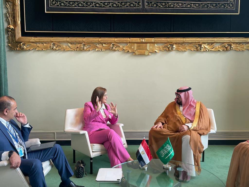 وزيرة التخطيط تبحث مع نظيرها السعودي آليات تعزيز سبل التعاون