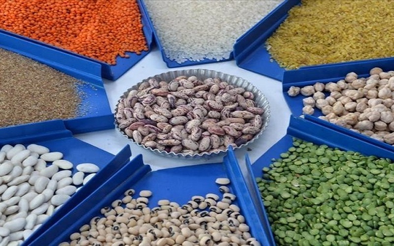 صادرات الحبوب التركية