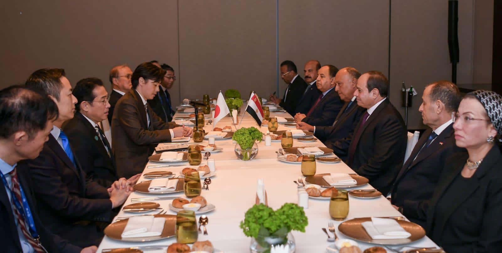 السيسي ورئيس الوزراء الياباني يشددان على رفض التهجير القسري للفلسطينيين