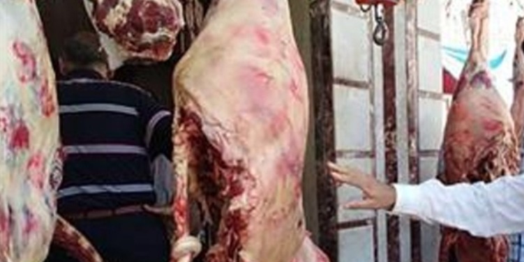 الزراعة تطرح اللحوم البلدية بأسعار مخفضة تصل إلى 260 جنيها للكيلو