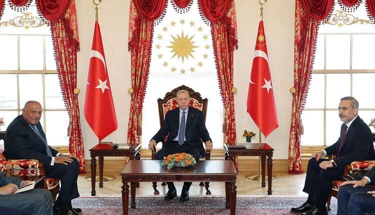 أردوغان يستقبل وزير الخارجية المصري