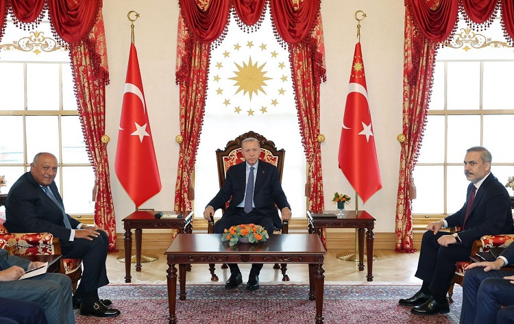 أردوغان يستقبل وزير الخارجية المصري