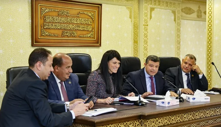 المشاط: 700 مليار جنيه حجم الاستثمارات الخاصة المنفذة بخطة 2024/2023