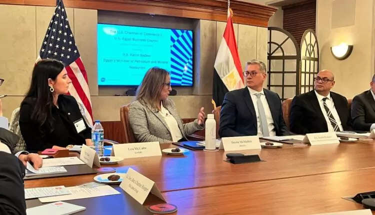 المهندس كريم بدوي وزير البترول والثروة المعدنية