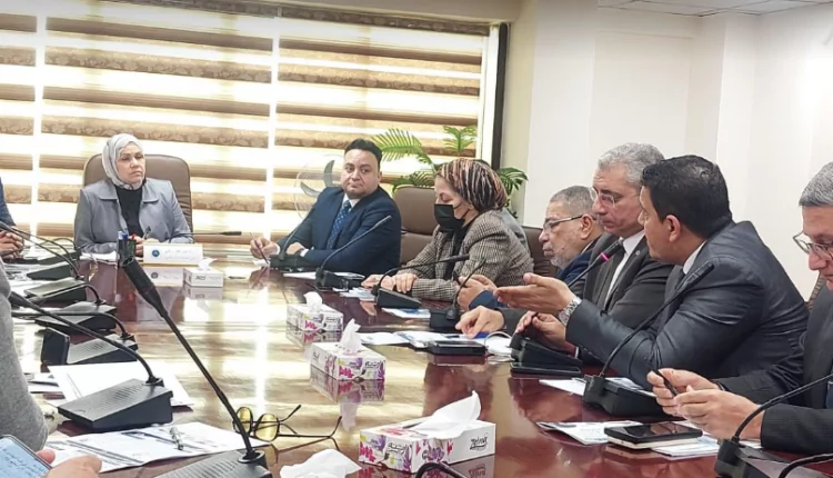 رشا عبد العال: تعاون النقابات المهنية هام وضروري لنشر الوعي بالتسهيلات الضريبية