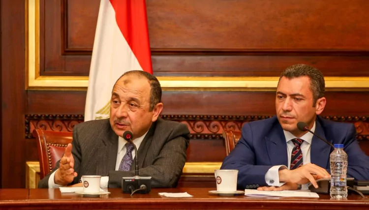 وزير قطاع الأعمال يستعرض استراتيجية عمل الوزارة أمام لجنة الصناعة بمجلس النواب