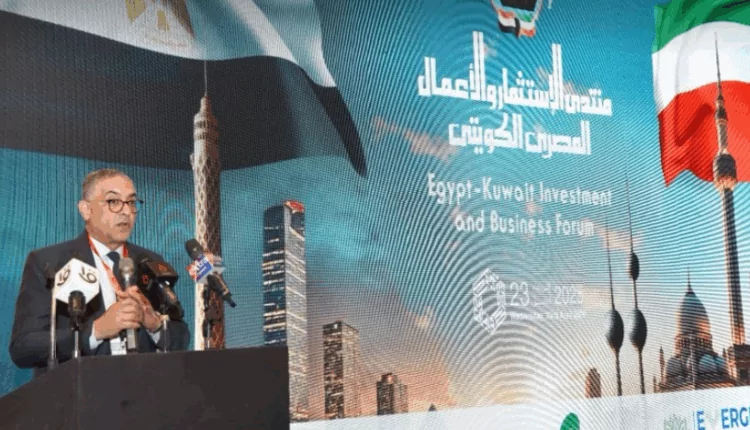حسام هيبة: قرار استبدال الرسوم الحكومية بضريبة موحدة يسهم في تيسير وتحسين بيئة الاستثمار