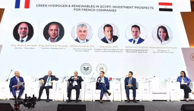 وليد جمال الدين: مصر تهدف لأن تصبح مركزا إقليميا لتصدير الوقود الأخضر إلى أوروبا