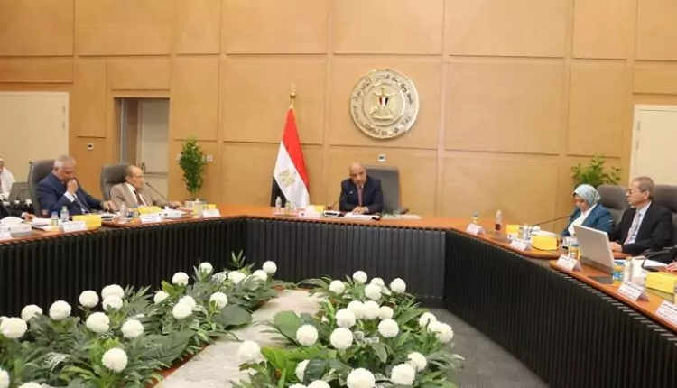 إقرار فصل الشركة المصرية لنقل الكهرباء عن القابضة