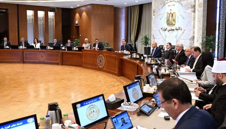 الحكومة: توريد 1.4 مليون طن قمح حتى الآن.. و«المالية» تصرف المليارات الثلاثة الخاصة بمحصول القطن