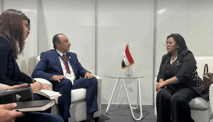 منصة مع وكالة تنمية الاتحاد الأفريقي تجمع الحكومات والممولين والقطاع الخاص