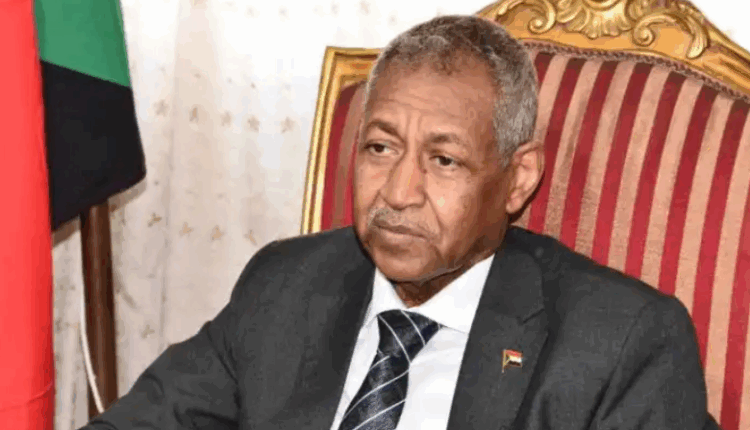 سفير الخرطوم: مشروعات طرق وجسور في السودان بأيادي مصرية