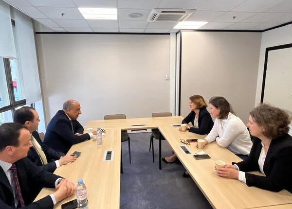  وزير الكهرباء يبحث مع EDF الفرنسية تعزيز التعاون في مشروعات الطاقات المتجددة والضخ والتخزين