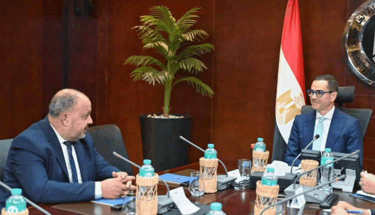 وزير الاستثمار يوجه بتشكيل فريق عمل لتطوير منظومة القطن ودعم المزارعين