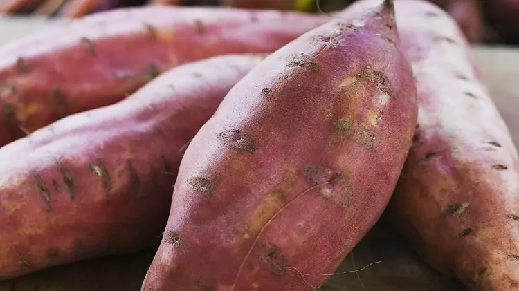 البطاطا الحلوة