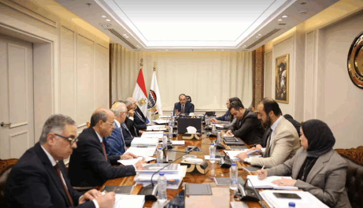وزير قطاع الأعمال: الإدارة الفعالة للأصول واستغلالها بأمثل صورة أولوية استراتيجية للوزارة