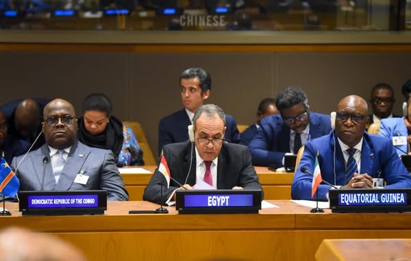 وزير الخارجية في مجلس السلم والأمن الأفريقي: مصر تلتزم بدعم استقرار القارة وحل النزاعات