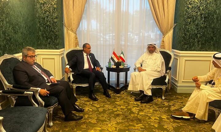 وزيرا خارجية مصر والكويت يؤكدان دعم العلاقات الثنائية ووقف العدوان على غزة