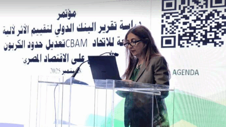 هيئة الاستثمار تستعرض آثار آلية تعديل حدود الكربون CBAM على الاقتصاد المصري