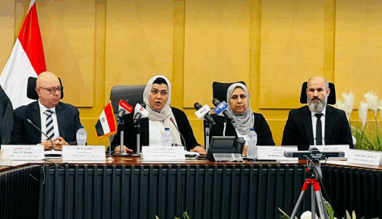 وزارة الاستثمار: الرسوم الوقائية علي واردات الصلب المدرفل مؤقتة لحماية الصناعة المحلية