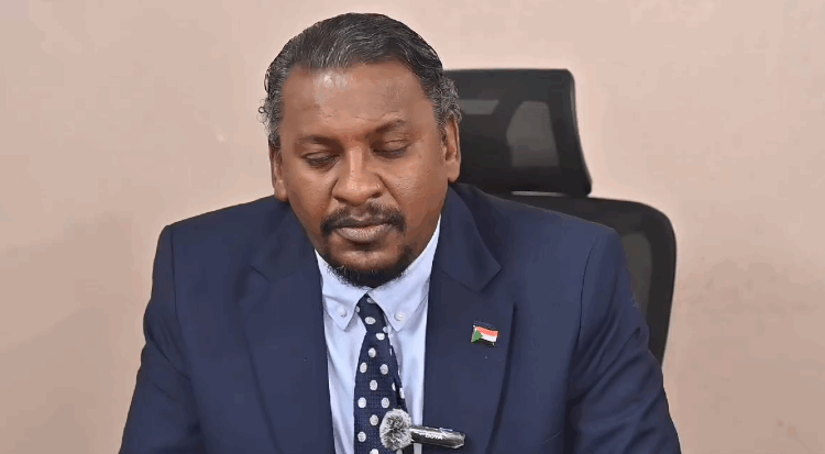 وزير مالية السودان لـ «حابي»: نتطلع للشراكة مع مصر في إعادة الإعمار