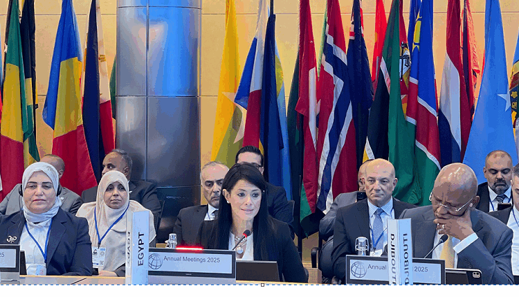 المشاط ندعو البنك الدولي لمزيد من الشراكات لتمكين القطاع الخاص وتعظيم دوره في مسيرة التنمية