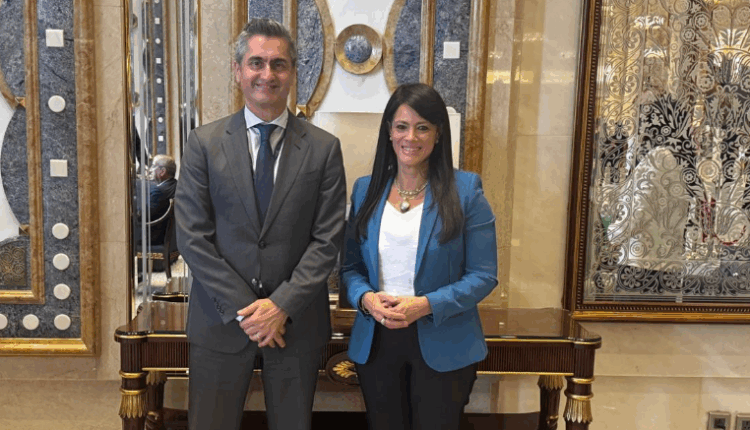 المشاط: الذكاء الاصطناعي أصبح مكونا أساسيا في بناء القدرات المؤسسية للدول