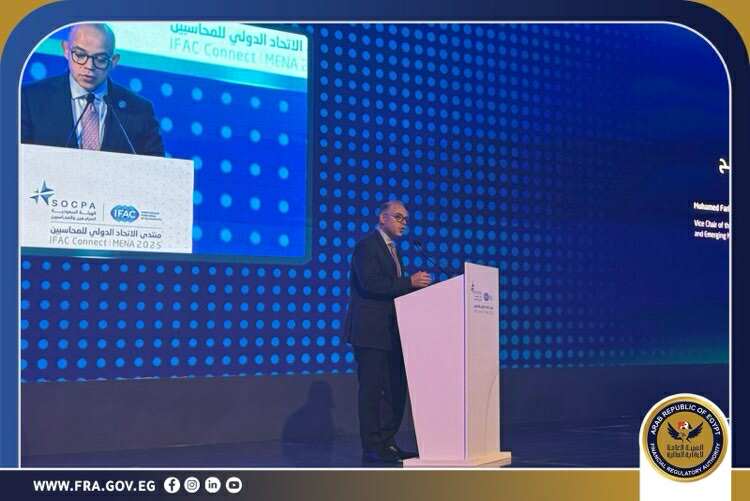 الدكتور محمد فريد رئيس الهيئة العامة للرقابة المالية