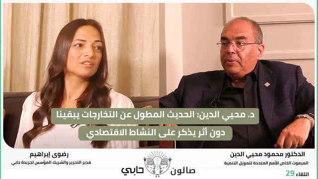 د. محيي الدين: الحديث المطول عن التخارجات يبقينا دون أثر يذكر على النشاط الاقتصادي