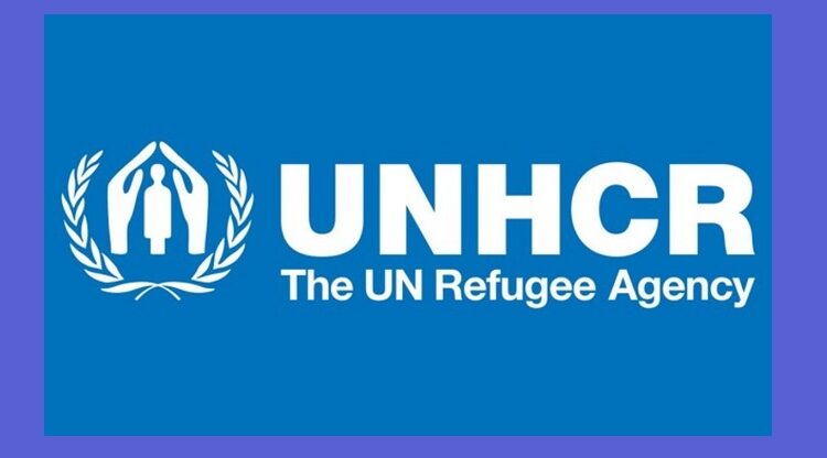 UNHCR: مصر بحاجة لدعم دولي باعتبارها من أكبر الدول المستضيفة للاجئين السودانيين