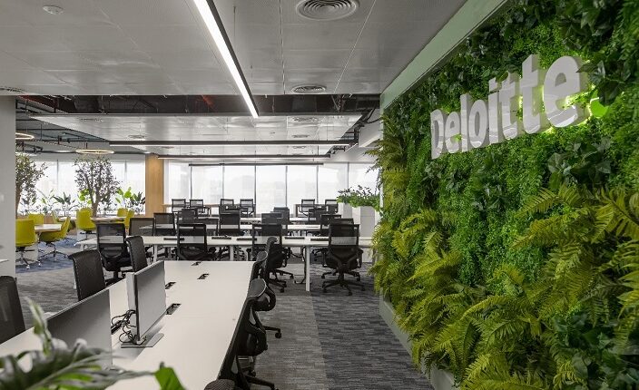 ديلويت تخطط لاستثمار 80 مليون دولار خلال 3 سنوات