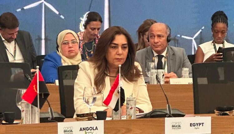 الدكتورة منال عوض وزيرة التنمية المحلية والقائم بأعمال وزير البيئة