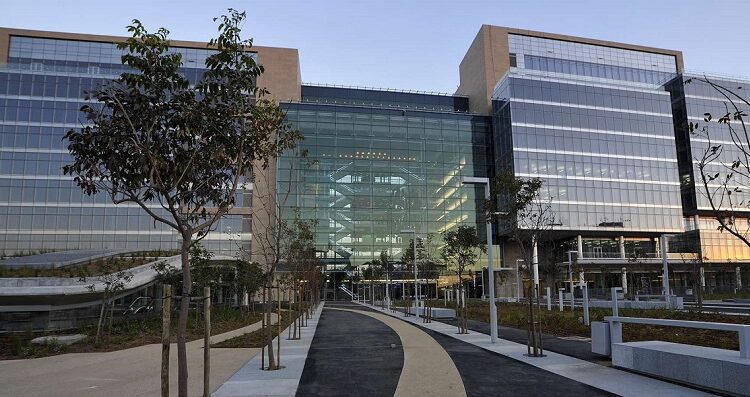 ستاندرد بنك يفتتح مكتبه التمثيلي رسميا في مصر.. 12 نوفمبر