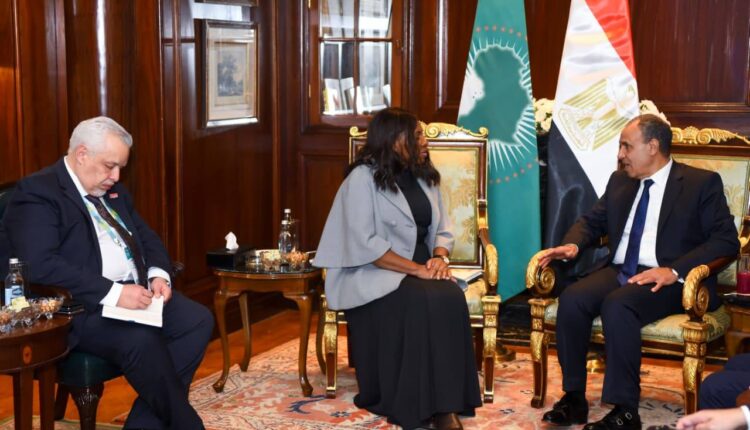 وزير الخارجية: مصر بوابة الاستثمار والتجارة في أفريقيا وجسرها إلى العالم